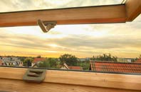rated Terwick Common roof window companies